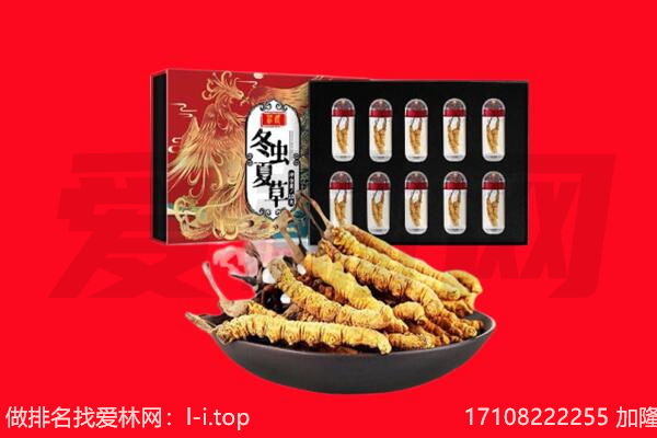 门头沟区回收虫草.jpg